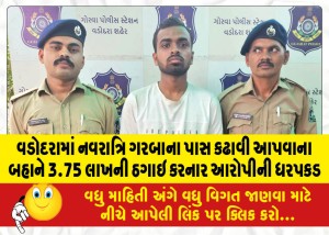 વડોદરામાં નવરાત્રિ ગરબાના પાસ કઢાવી આપવાના બહાને 3.75 લાખની ઠગાઇ કરનાર આરોપીની ધરપકડ