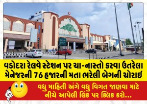 વડોદરા રેલવે સ્ટેશન પર ચા-નાસ્તો કરવા ઉતરેલા મેનેજરની 76 હજારની મતા ભરેલી બેગની ચોરાઇ