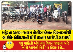 MailVadodara.com - Accused-who-stole-bikes-Activa-from-different-police-station-areas-of-the-city-was-caught