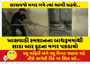 ખાસવાડી સ્મશાનના બાથરૂમમાંથી સાડા બાર ફૂટના મગર પકડાયો