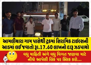 આમલીયારા ગામ પાસેથી ટ્રકમાં સિરામિક ટાઇલ્સની આડમાં લઈ જવાતો રૂા.17.60 લાખનો દારૂ ઝડપાયો