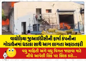 MailVadodara.com - Waghodia-GIDC-pharma-company-godown-with-explosions-liquid-material-burning-and-fire