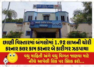 MailVadodara.com - Two-color-workers-who-stole-1-92-lakh-from-a-bungalow-in-Chhani-area-were-caught