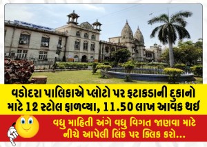 MailVadodara.com - Vadodara-Municipality-allotted-12-stalls-for-crackers-shops-on-plots-11-50-lakhs-revenue