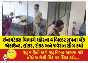 MailVadodara.com - Income-tax-department-seizes-bank-accounts-lockers-cash-and-jewelery-of-4-builder-groups