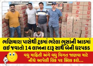 MailVadodara.com - Two-arrested-with-liquor-worth-14-lakhs-from-Bhaniara-under-the-guise-of-straw-loaded-in-a-truck