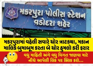 મકરપુરામાં વહેલી સવારે ચોર ત્રાટકયા, મકાન માલિકે બુમાબૂમ કરતા બે ચોર હુમલો કરી ફરાર