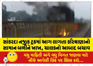 MailVadodara.com - A-fire-broke-out-in-a-truck-near-Sankarda-Grocery-goods-got-burnt-driver-rescued